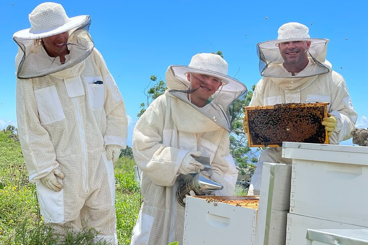 A fun family activity awaits you at the Maui Bee Sanctuary.